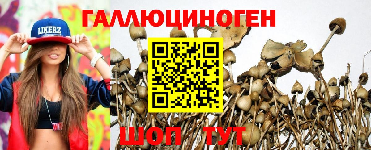 Галлюциногенные грибы Magic Shrooms Псков